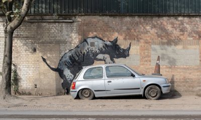 Rhino (London animal series)