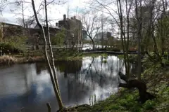 Camley Street Natural Park