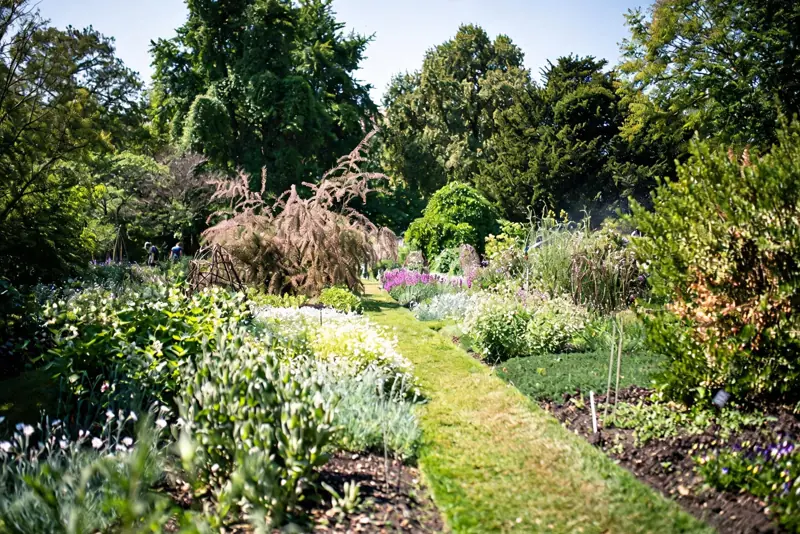 Chelsea Physic Garden