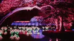 Christmas at Kew