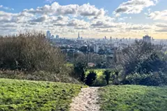 Hampstead Heath