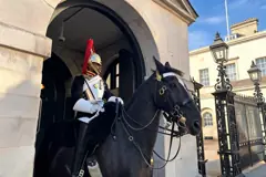 Horse Guards
