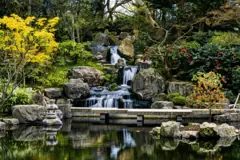 Kyoto Garden