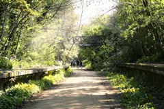 Parkland Walk