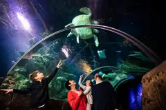 SEA LIFE London Aquarium