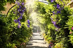 St John's Lodge Garden