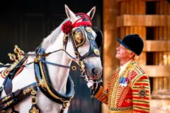 The Royal Mews
