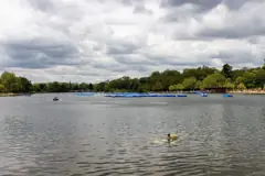 The Serpentine