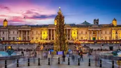 Trafalgar Square Christmas tree